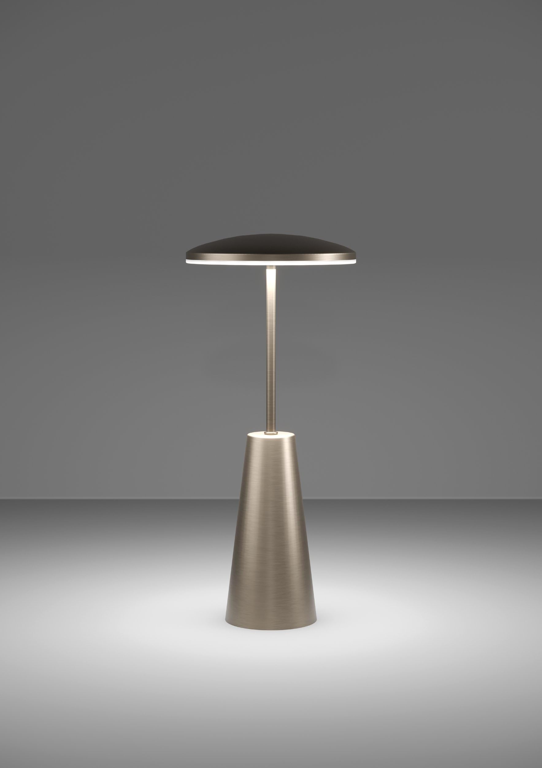 eglo-piccola-outdoor-tischlampe-touch-dimmbar-bronze-ip54-akku-usb image 2