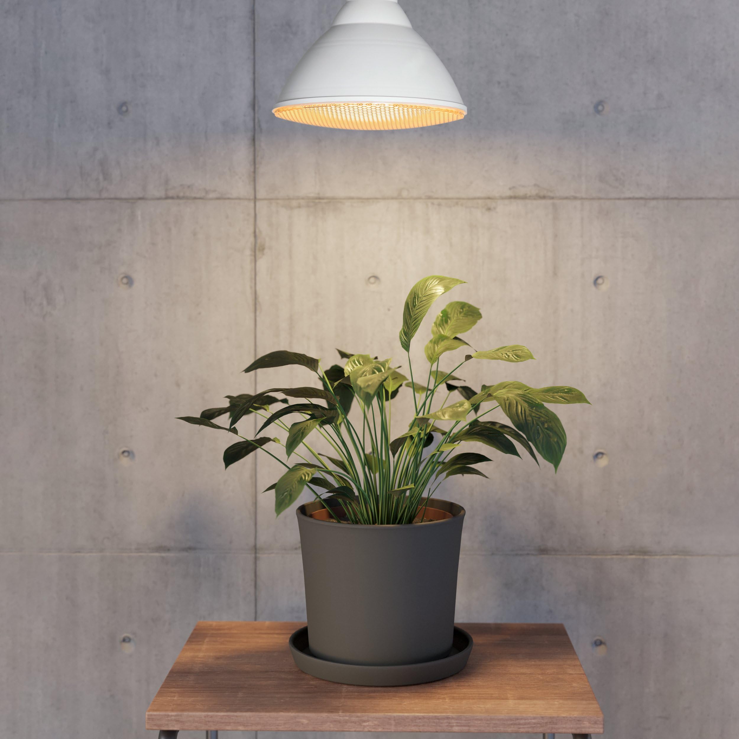 eglo-e27-led-pflanzenlampe-par38-16-w-2700-k-gelbes-grow-light image 2