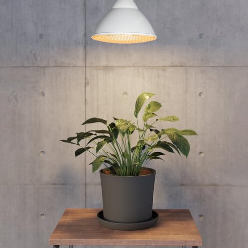 eglo-e27-led-pflanzenlampe-par38-16-w-2700-k-gelbes-grow-light image 7