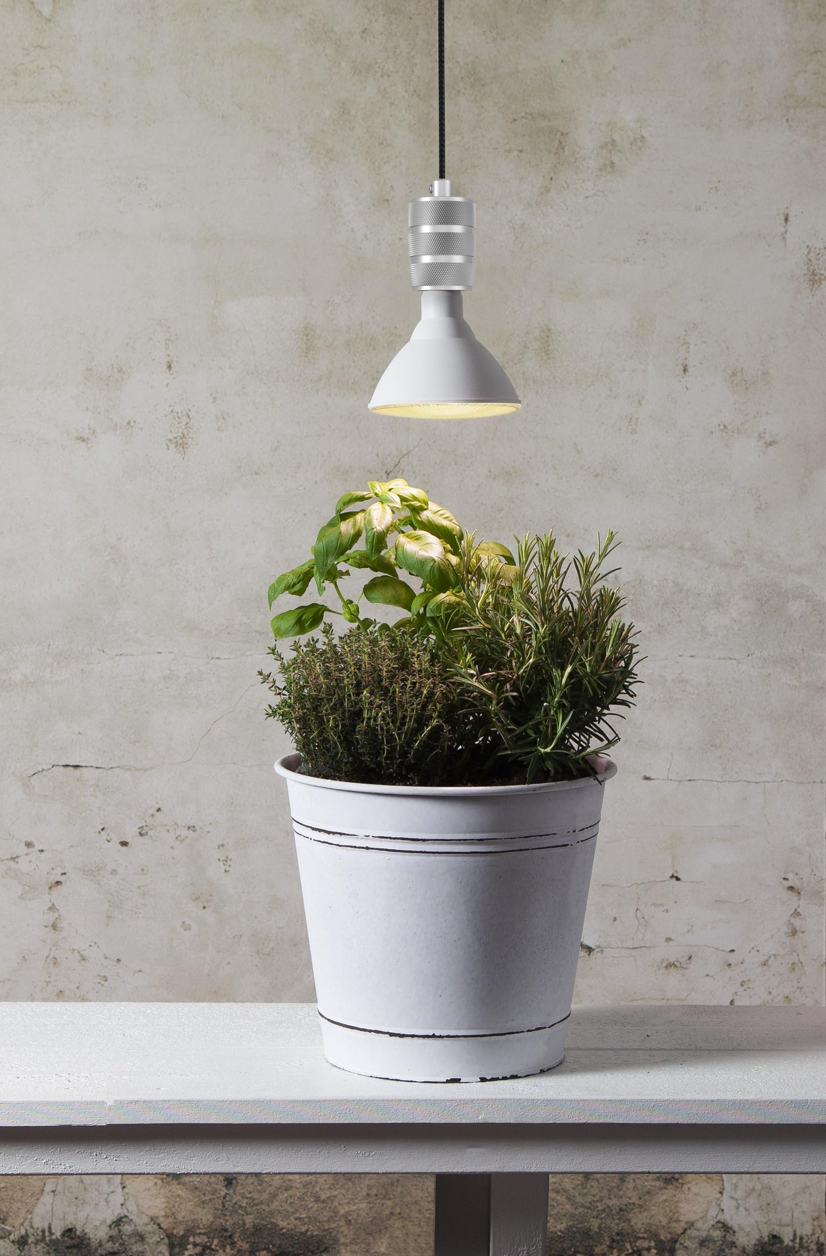 eglo-e27-led-pflanzenlampe-par38-16-w-2700-k-gelbes-grow-light image 4
