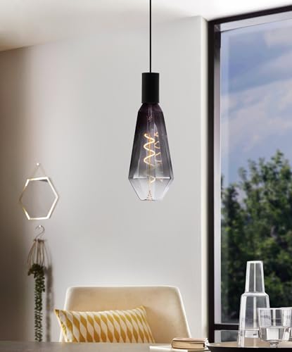 eglo-e27-xxl-spiral-led-retro-gl-hbirne-big-size-grau-schwarz-4w-1800k-dimmbar image 5