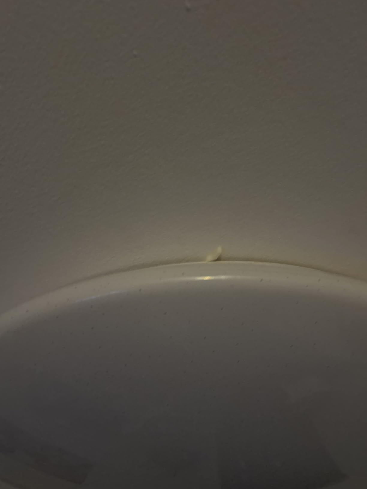 Energie sparen und schön