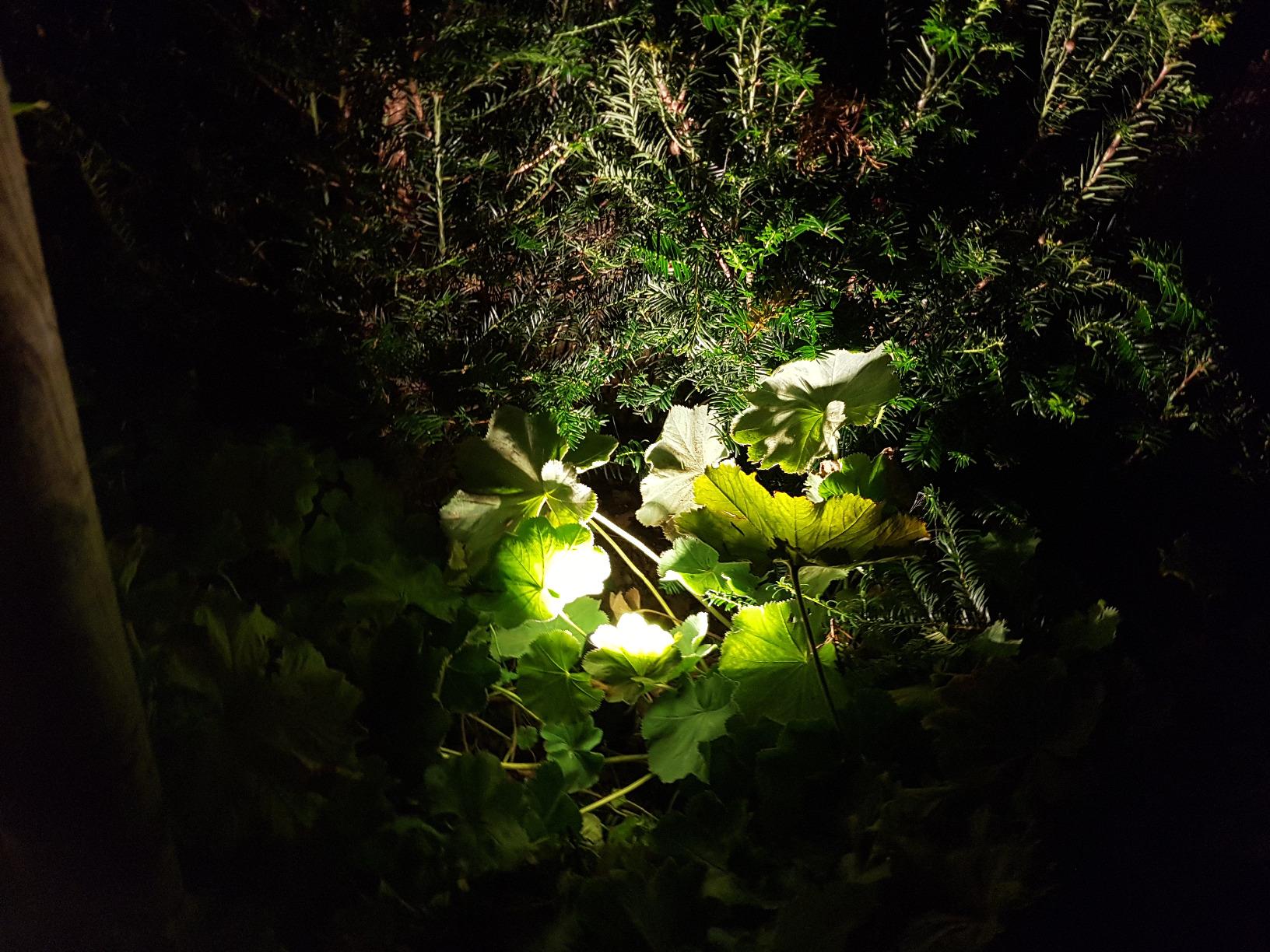 Licht schön, Kabel kurz