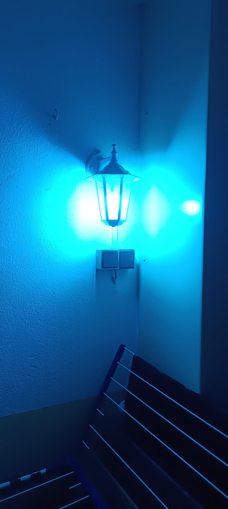 Wunderschön am Eingang
