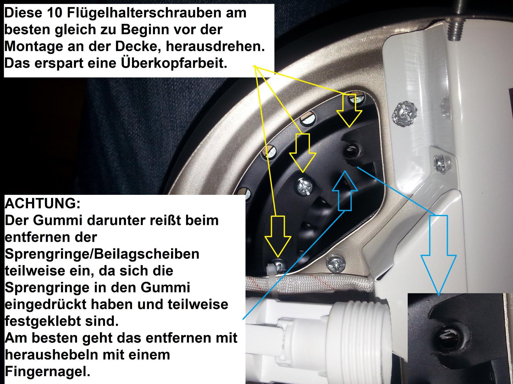 Rettung im Sommer