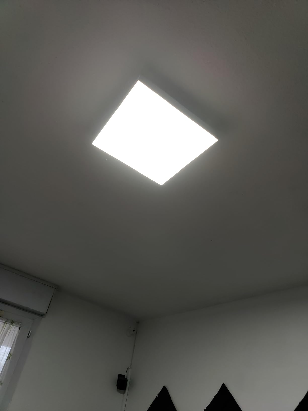 Sparer mit viel Licht