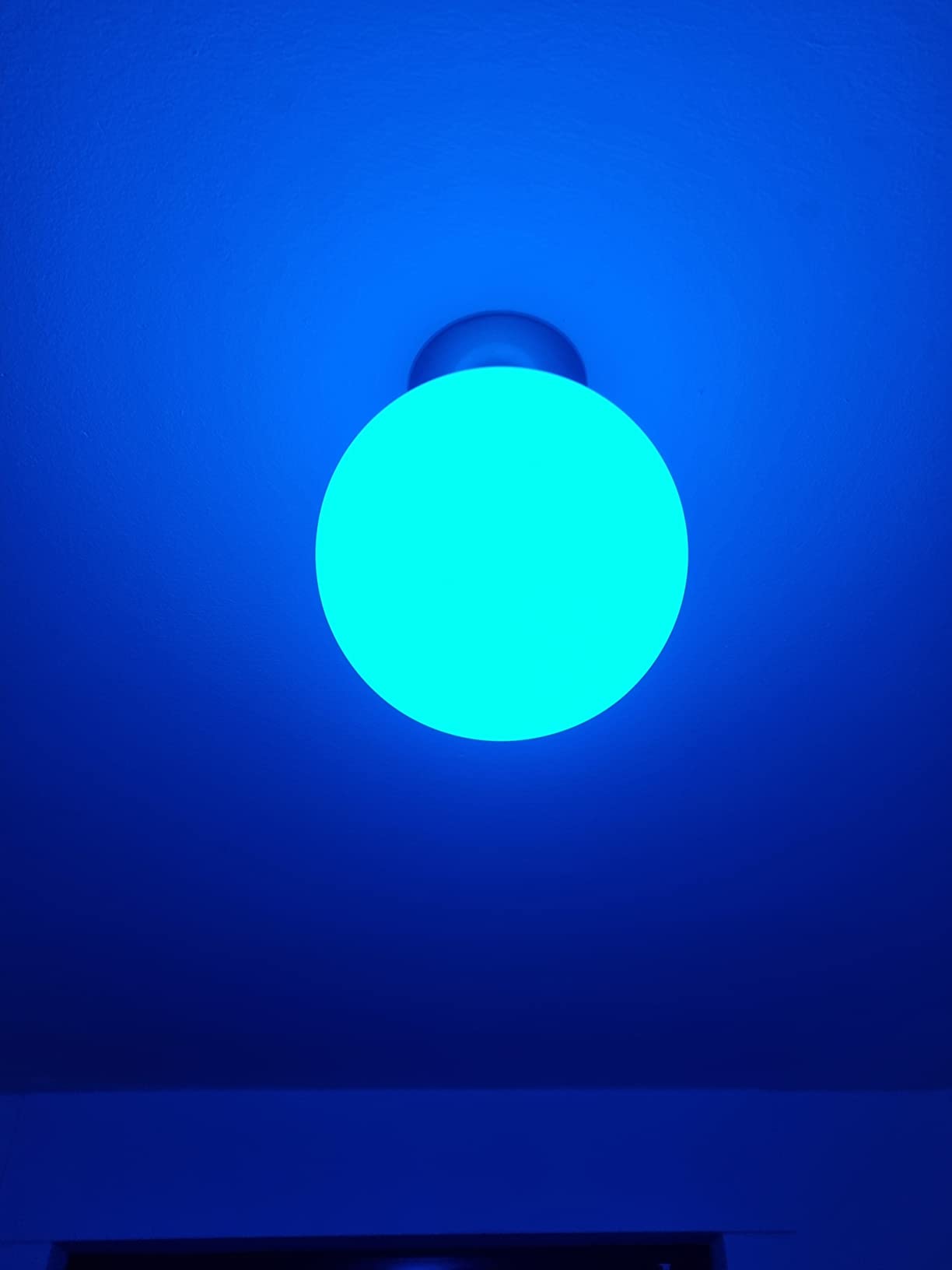 Hübsch, aber Staubmagnet