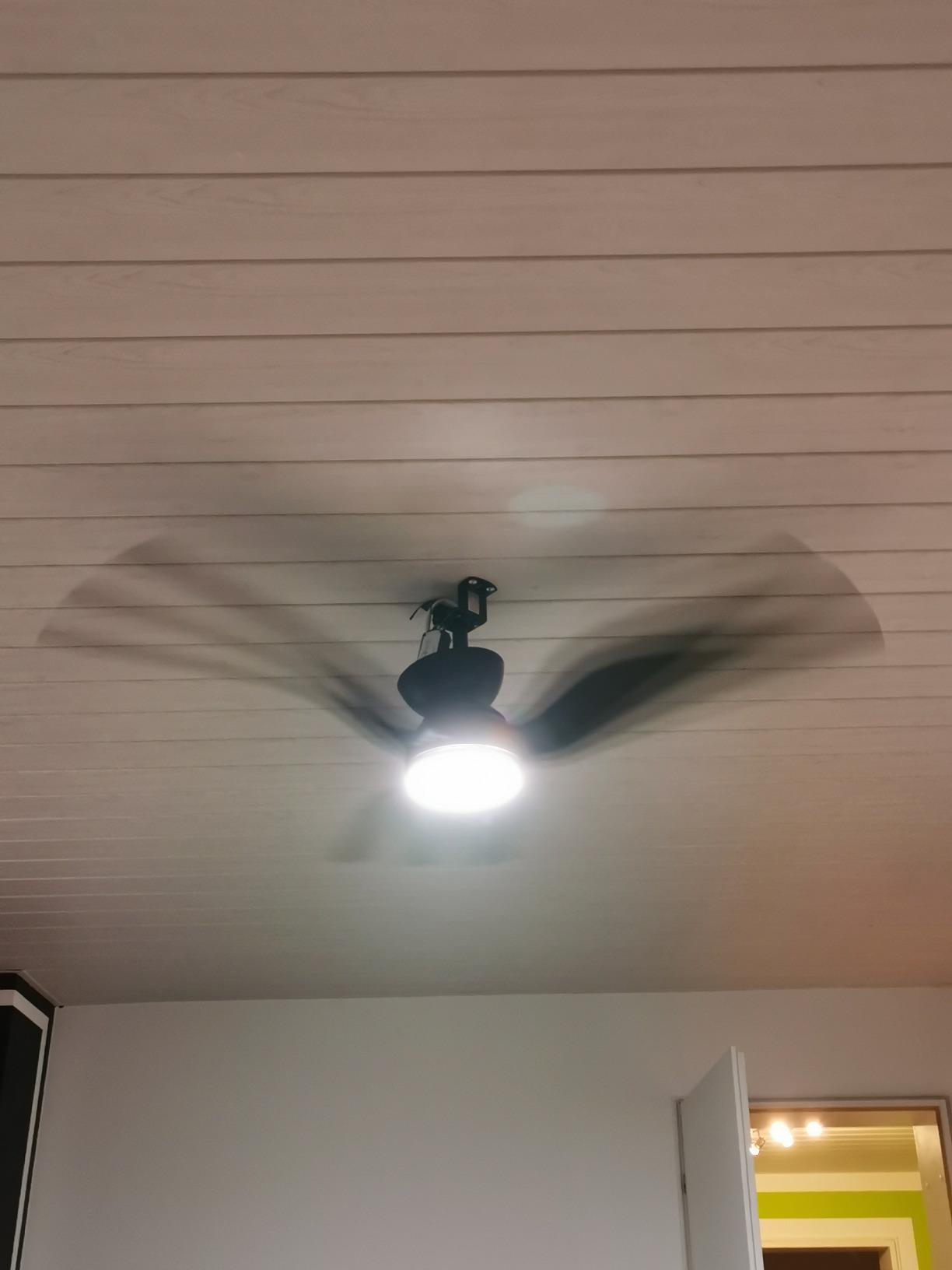 Groß, aber leise
