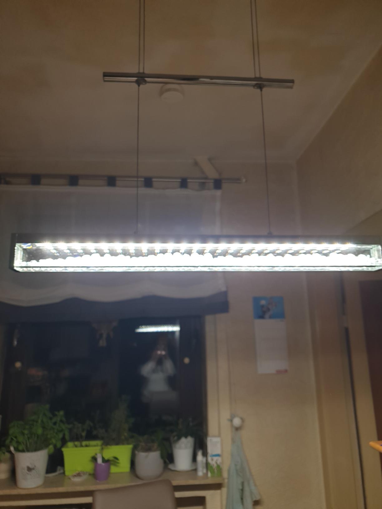Luxus pur
