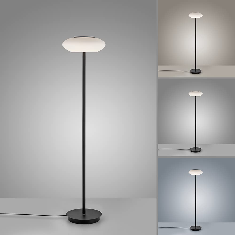 paul-neuhaus-q-etienne-led-stehleuchte-smart-home-152-cm-glas-zigbee-cct image 5
