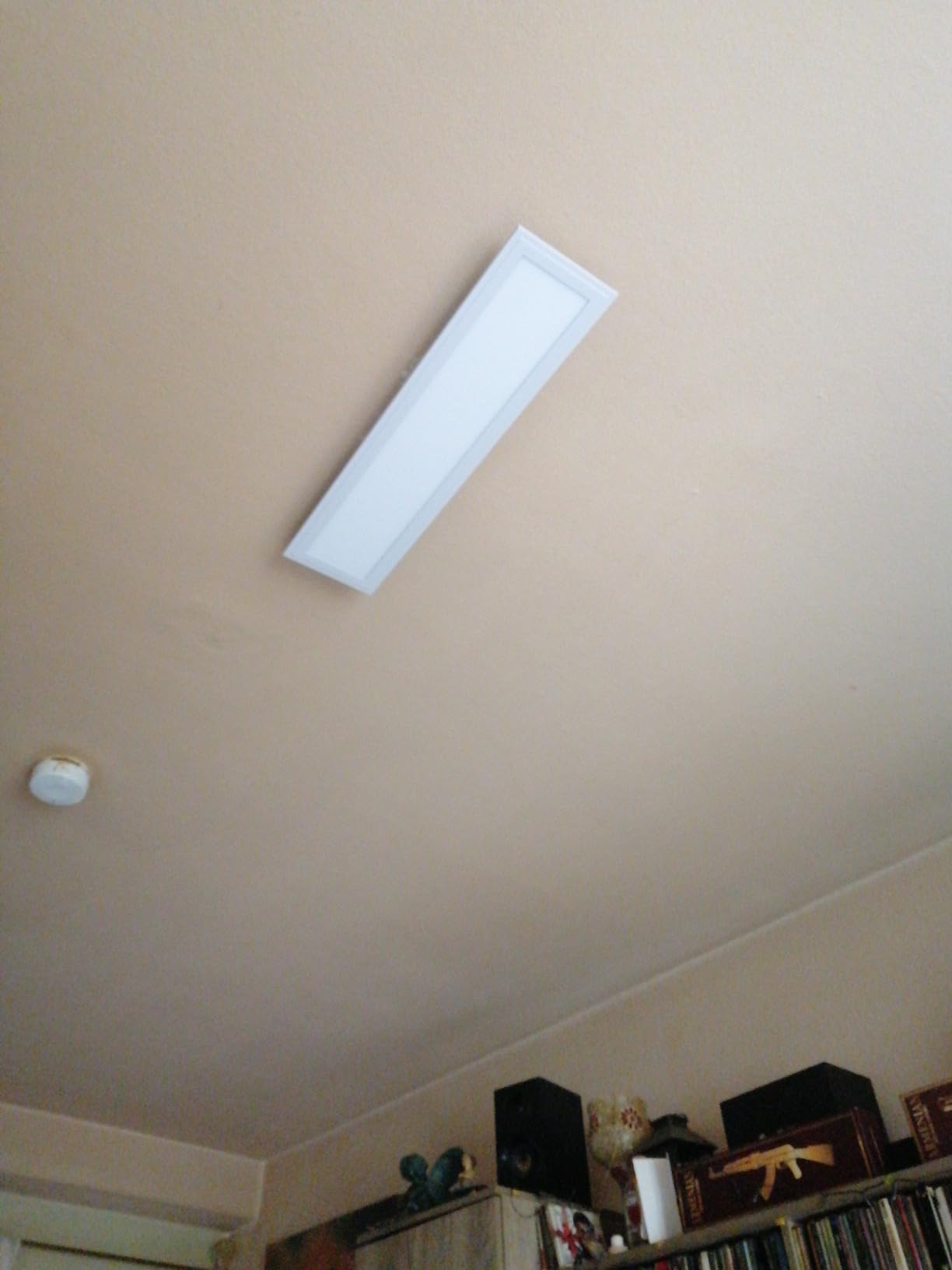 Perfekt fürs Büro