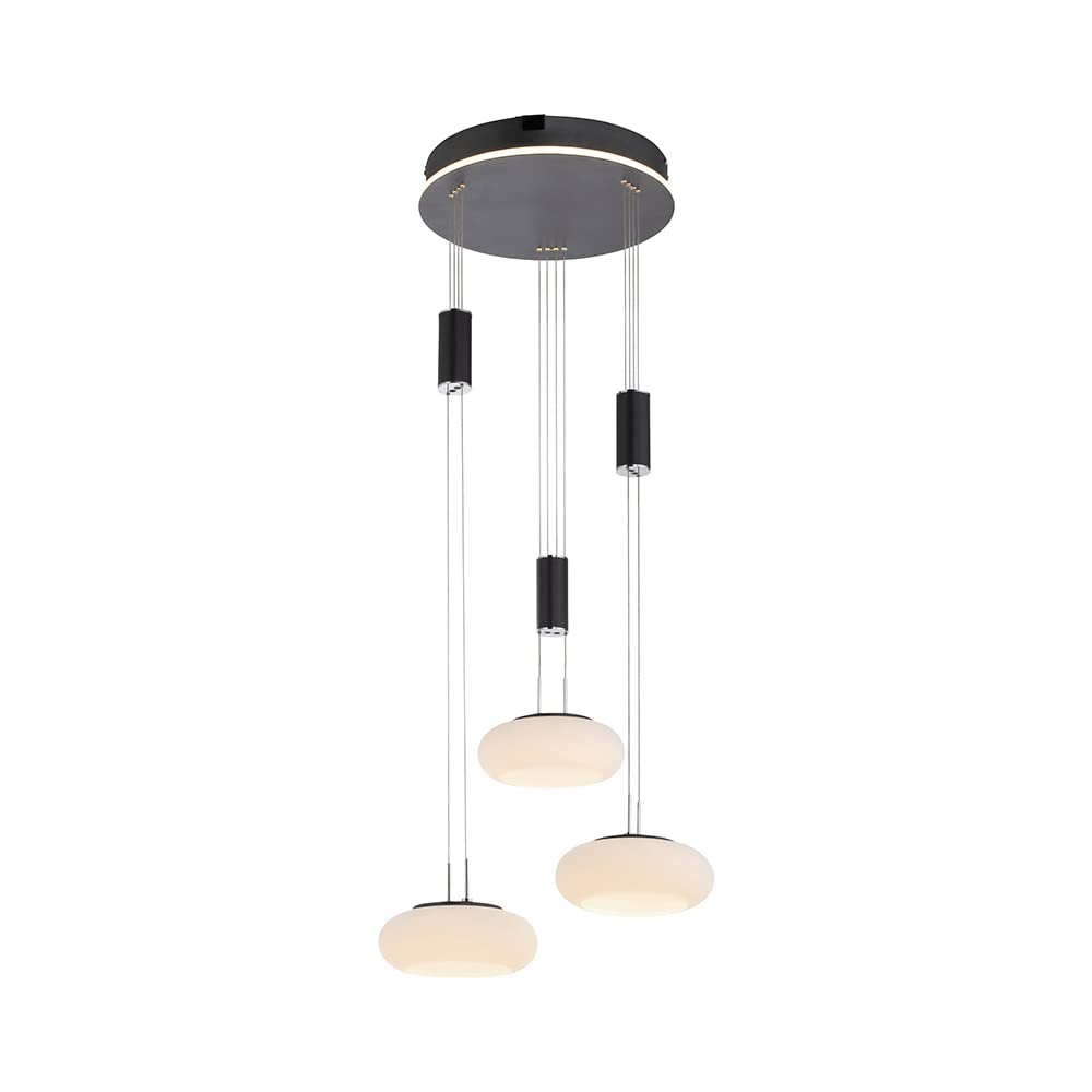 paul-neuhaus-q-adriana-smart-pendelleuchte-3-flammig-glas-cct-h-henverstellbar image 8