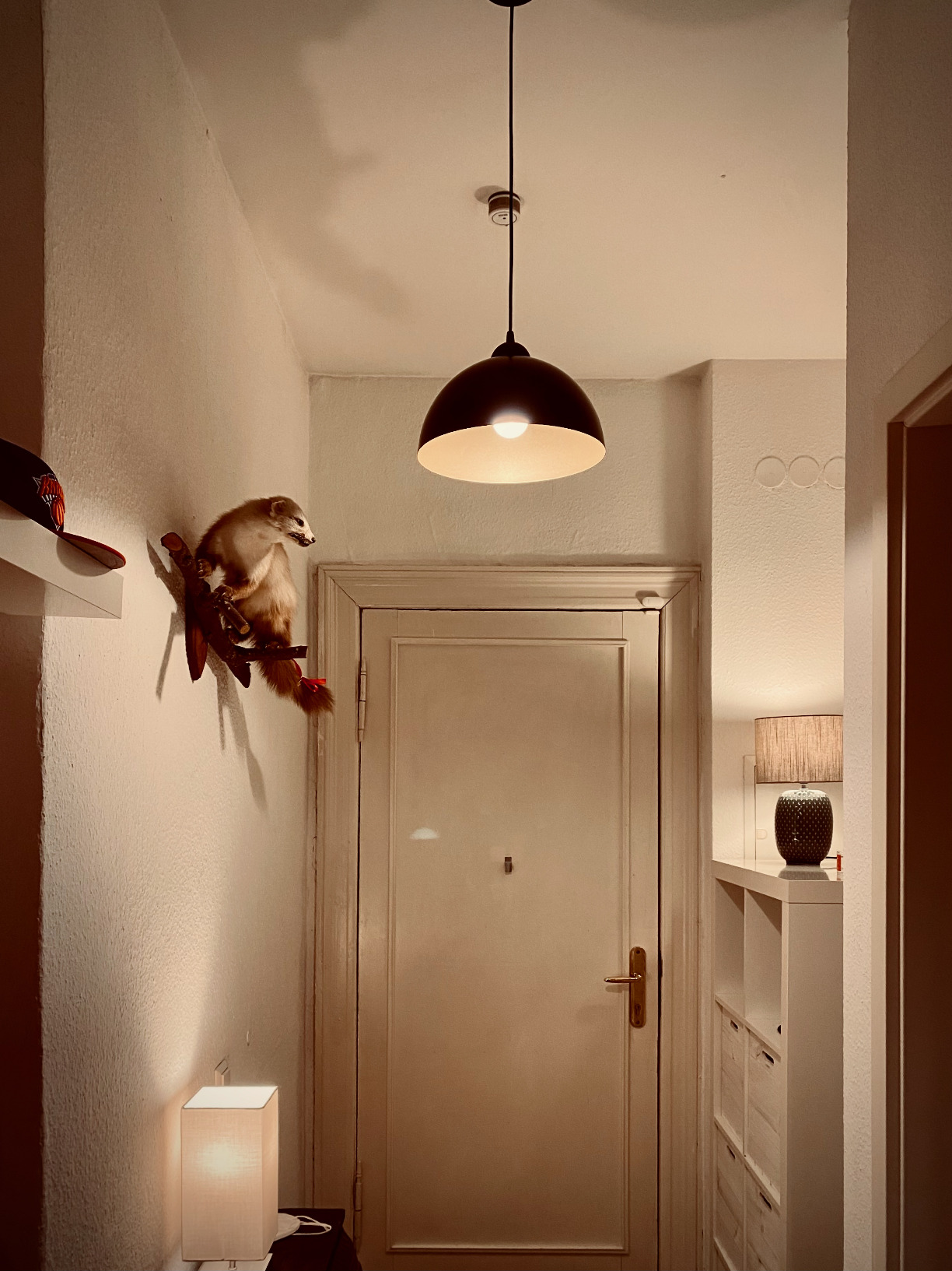 Tolles Lichtbild