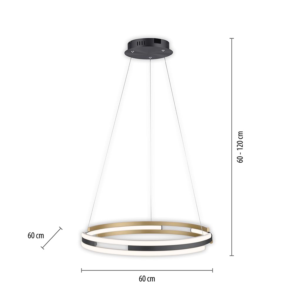 paul-neuhaus-q-beluga-led-pendelleuchte-smart-home-ringleuchte-dimmbar-59-5-cm image 7