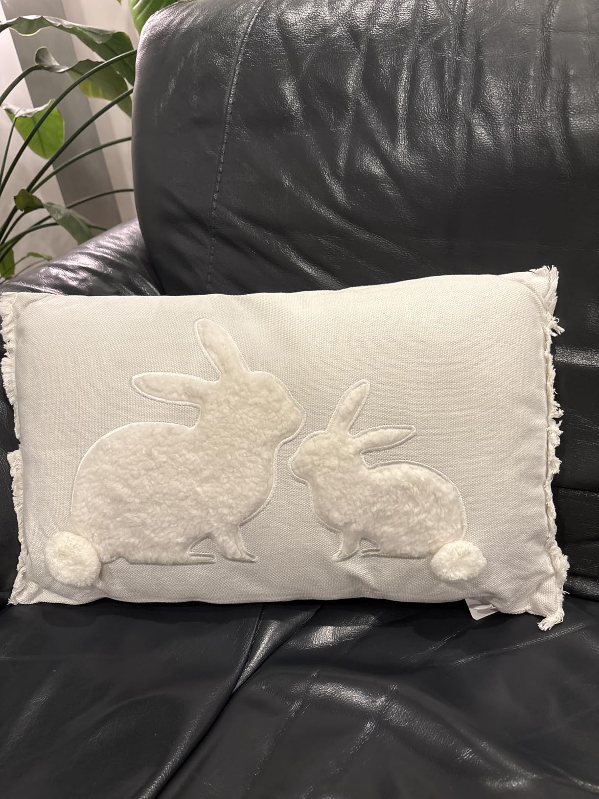 Total niedlich auf dem Sofa