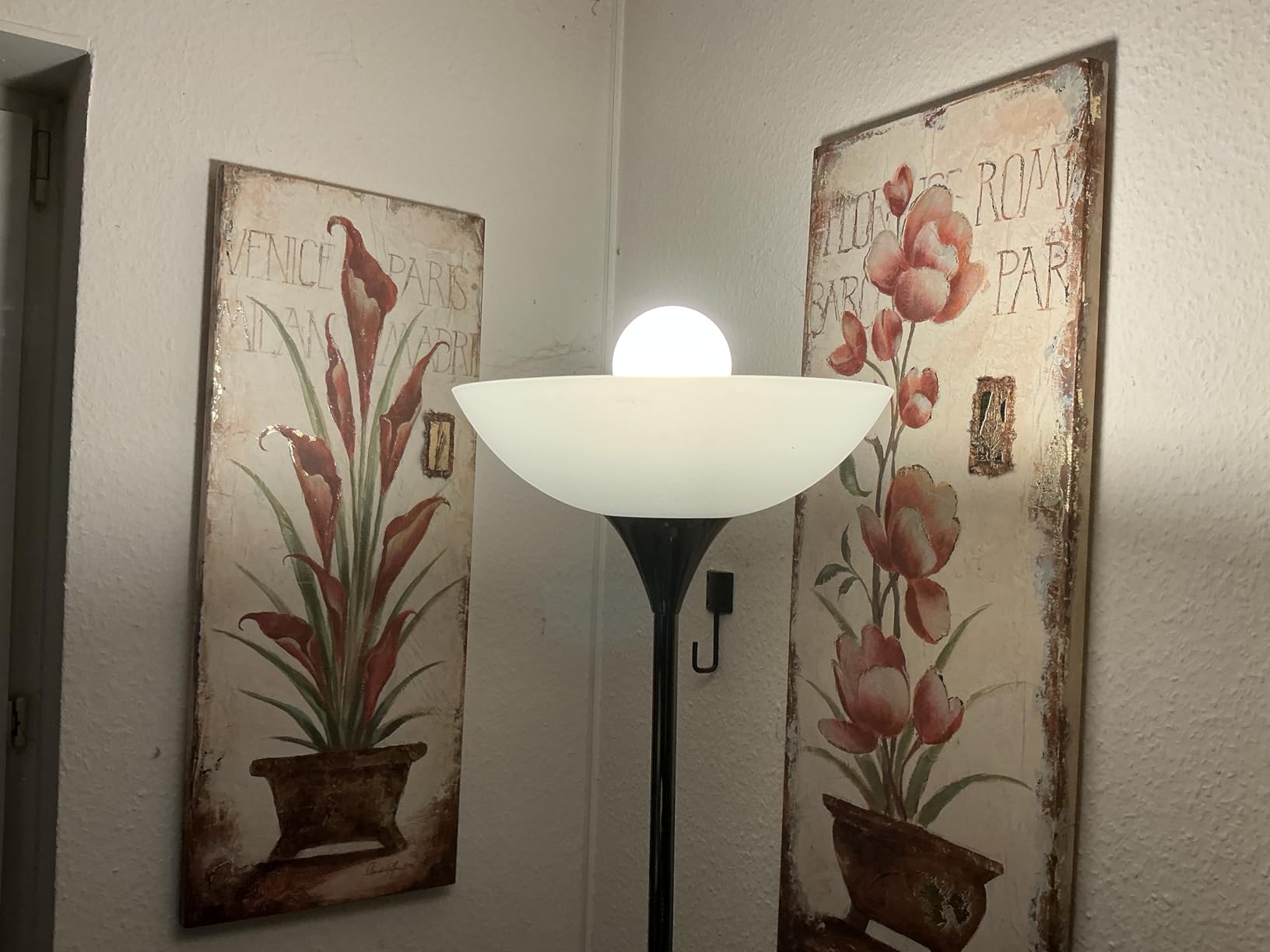 Wunderschönes Licht