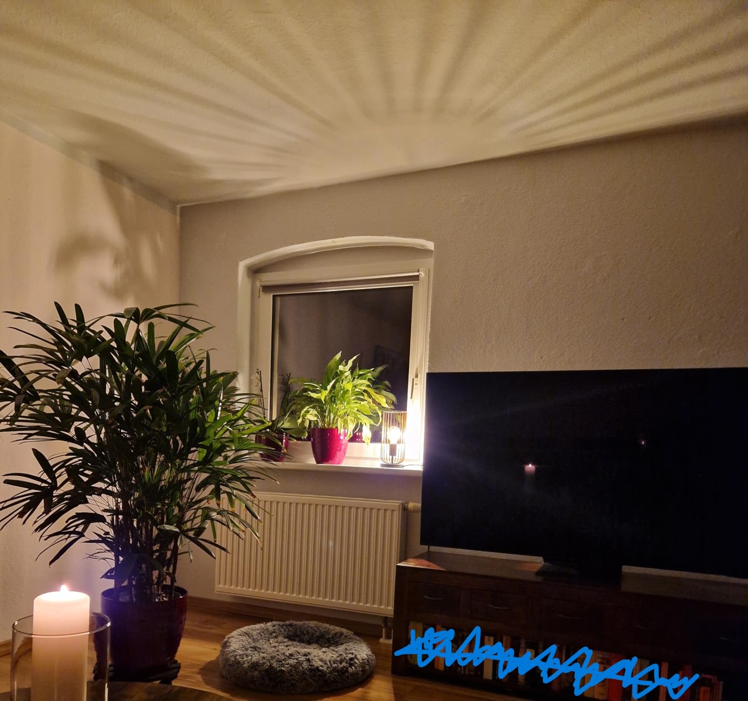 Traumhaft warmes Licht
