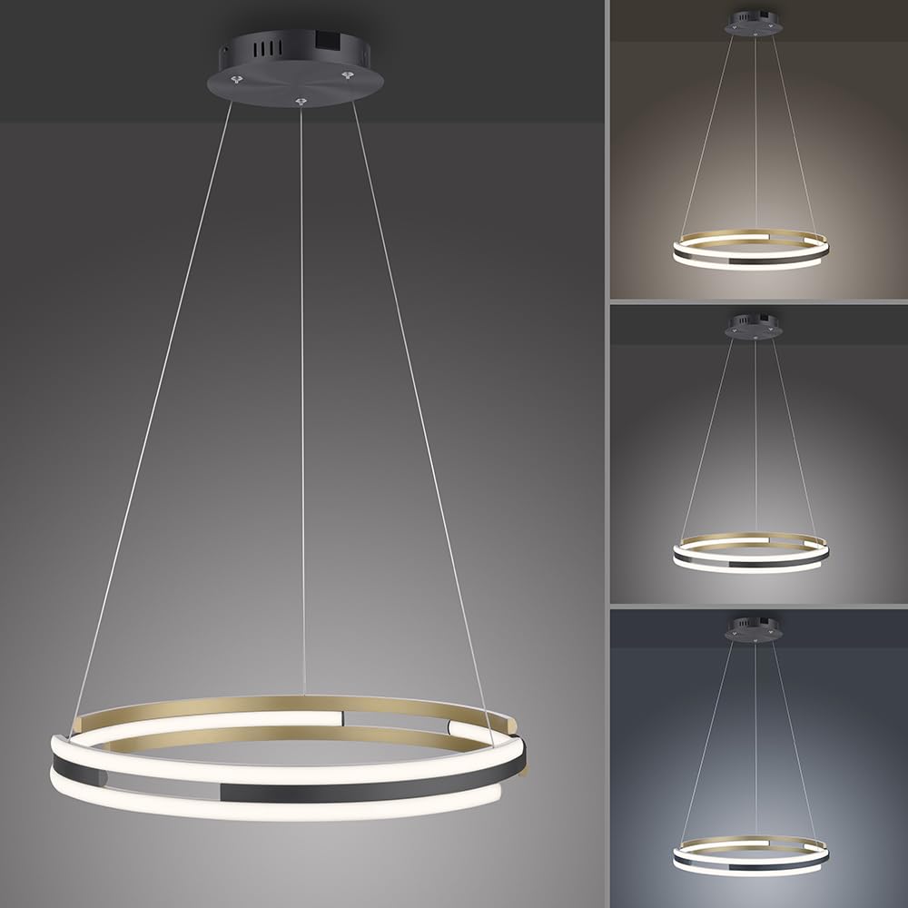 paul-neuhaus-q-beluga-led-pendelleuchte-smart-home-ringleuchte-dimmbar-59-5-cm image 6