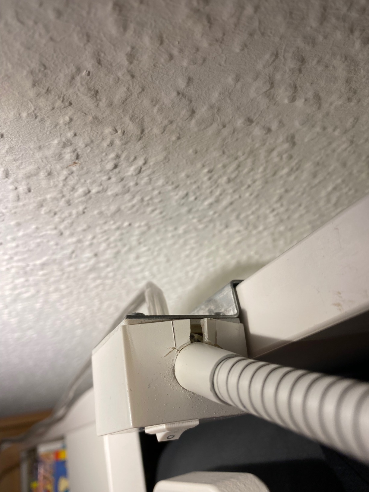 Absolute Empfehlung