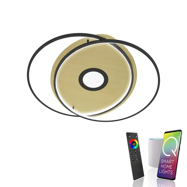 paul-neuhaus-q-darwin-led-deckenleuchte-alexa-zigbee-dimmbar-cct image 1