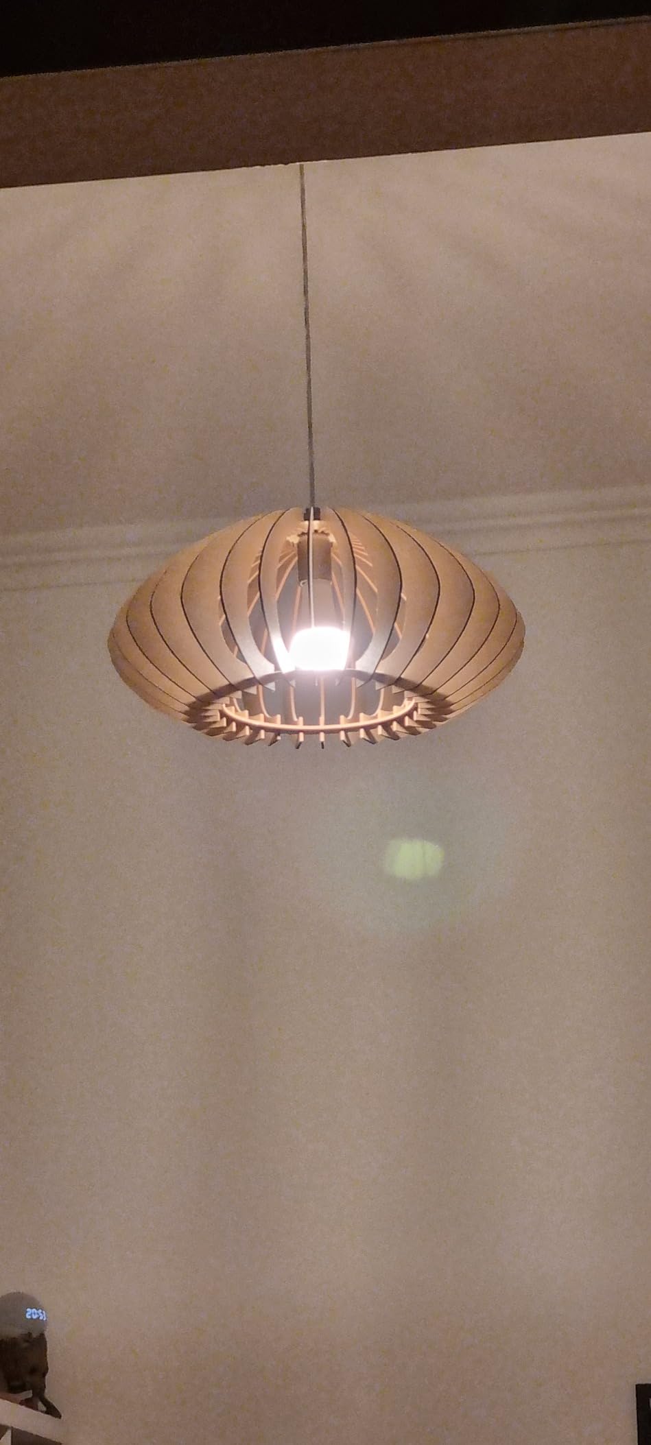 Natur-Highlight im Wohnzimmer