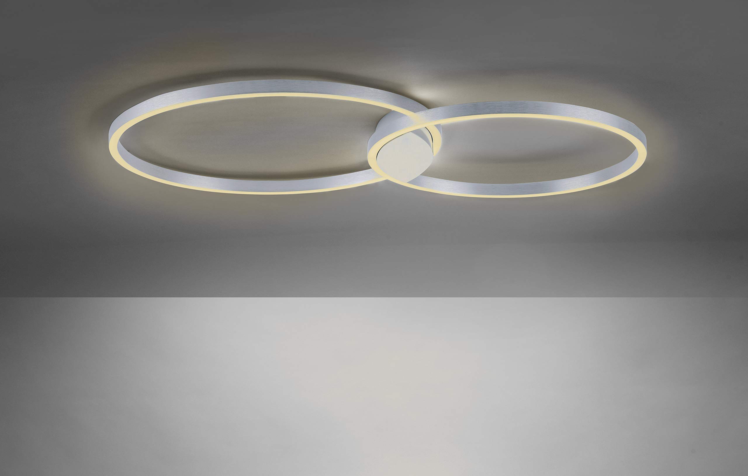 paul-neuhaus-q-kate-led-deckenleuchte-ringform-cct-smart-home-2-flammig image 4