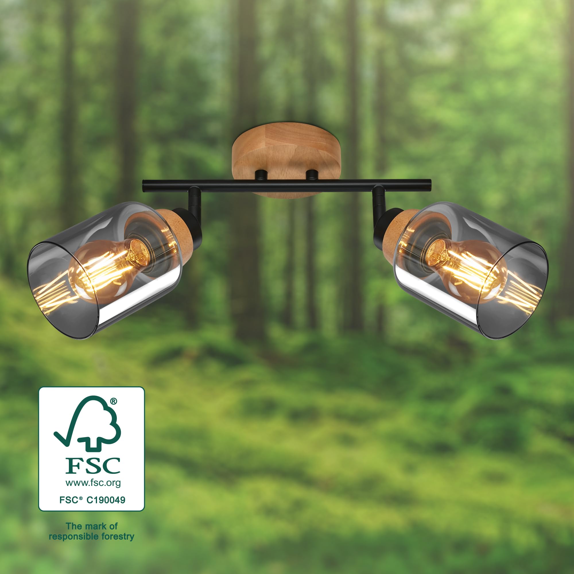 briloner-deckenlampe-2-flammig-schwenkbar-rauchglas-e27-schwarz-holz image 3