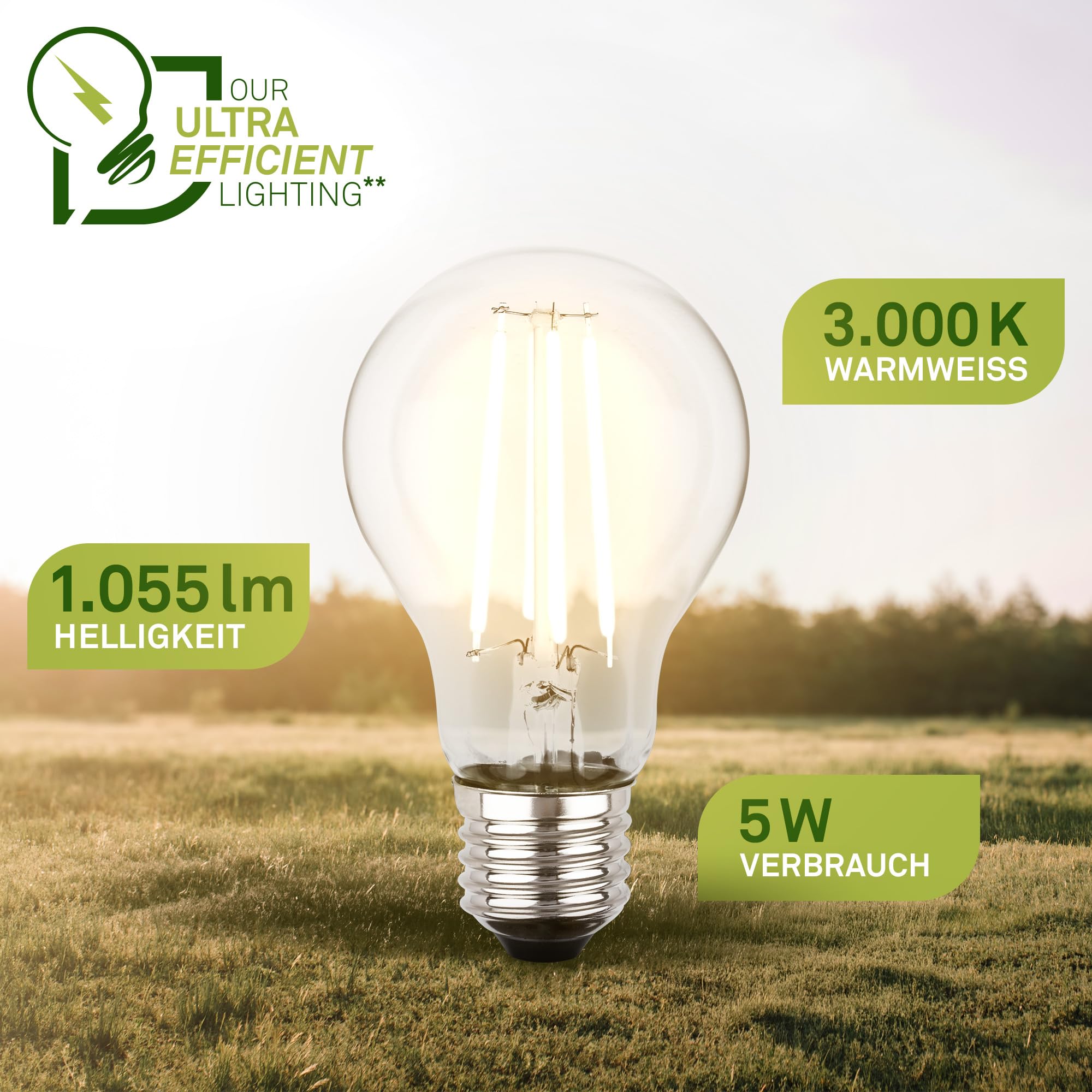 briloner-2er-set-filament-led-lampe-e27-a60-5w-1055-lm-warmwei image 5
