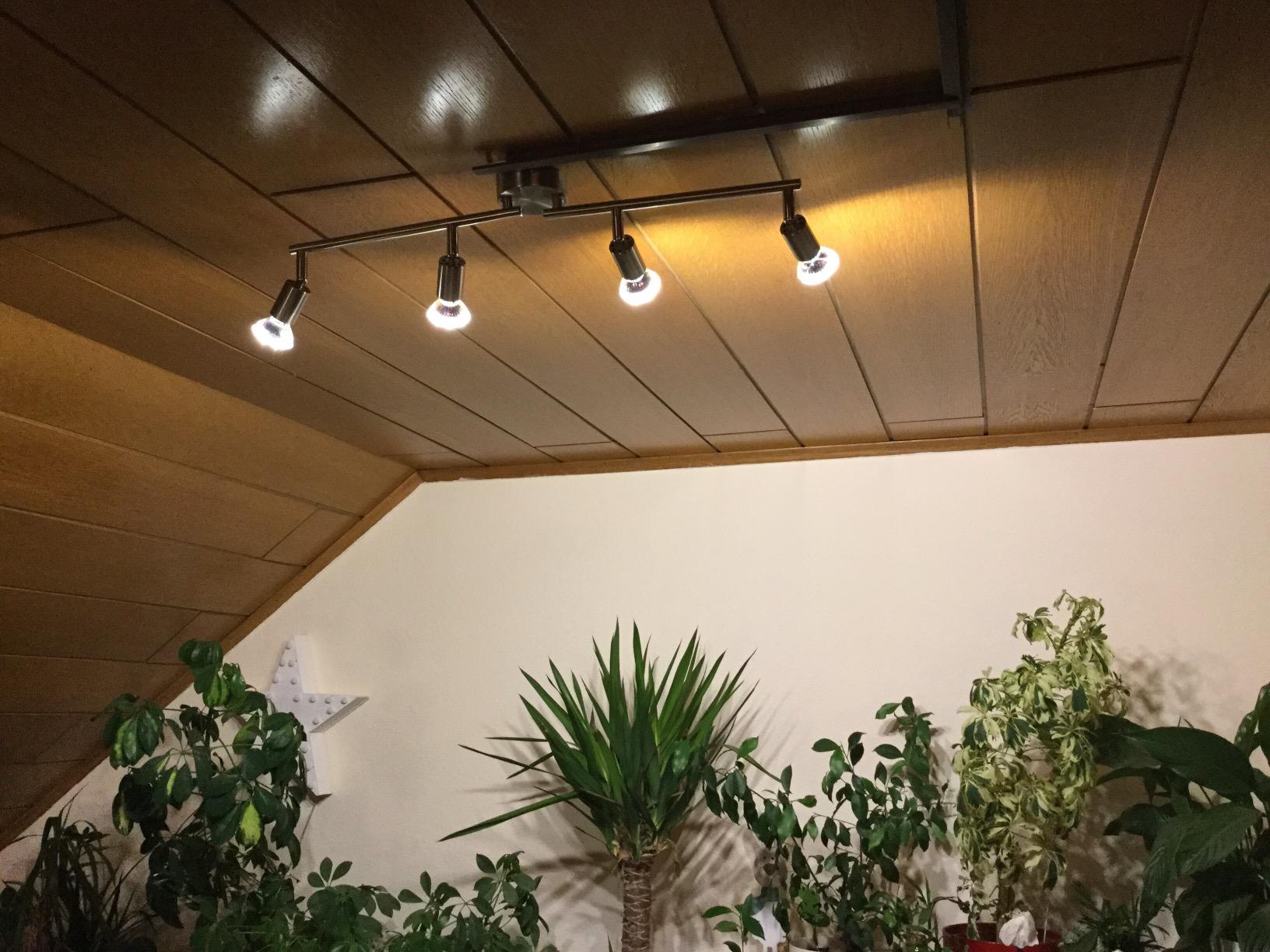 Perfekt fürs Wohnzimmer
